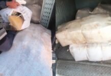 Polícia apreende cerca de 300 kg de drogas escondidos em área de mata no Monte Horebe (vídeo)